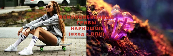 дживик Алексин